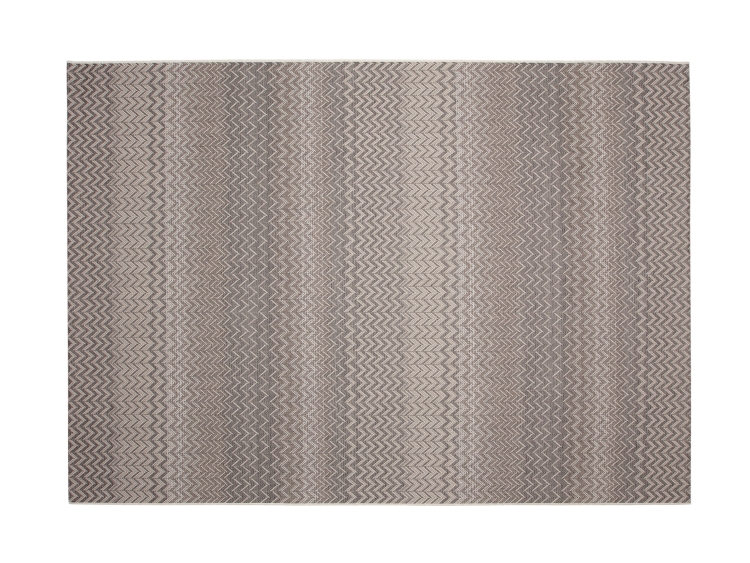 Covor exterior terasa Roolf Living Ziggy dreptunghiular, antracit/bej, 160 x 230 cm