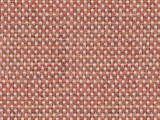 dotty terra swatch diffuse scaled